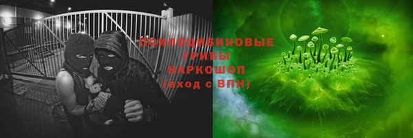 первитин Богданович