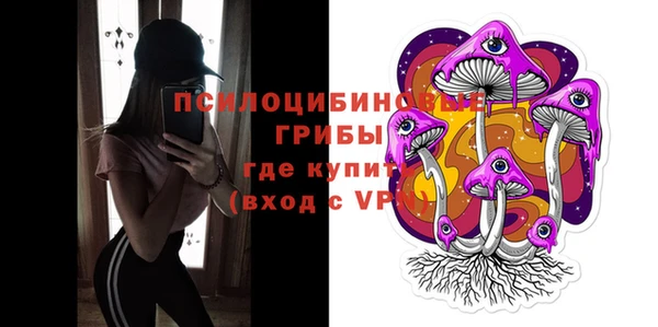 первитин Богданович